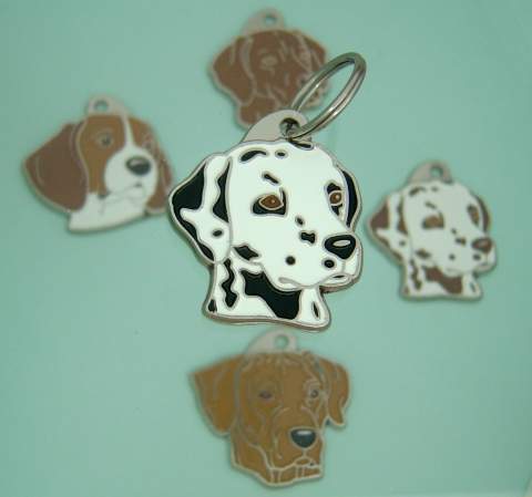 Hundemarke für Halsband Dalmatiner.
